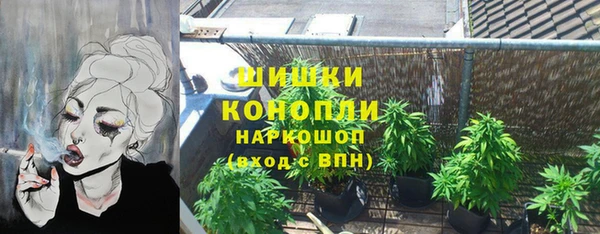 гидра Алексеевка