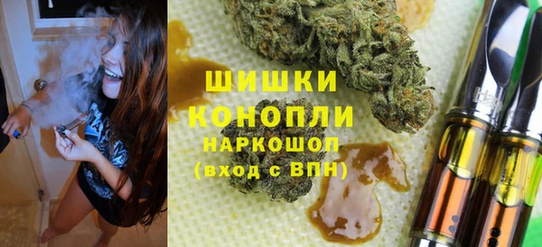 гидра Алексеевка