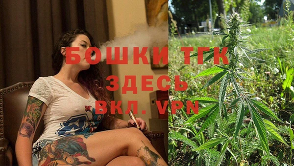 гидра Алексеевка