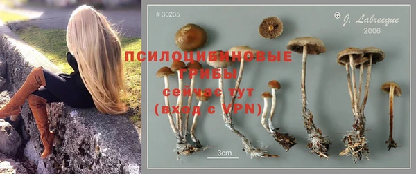 спиды Алексин