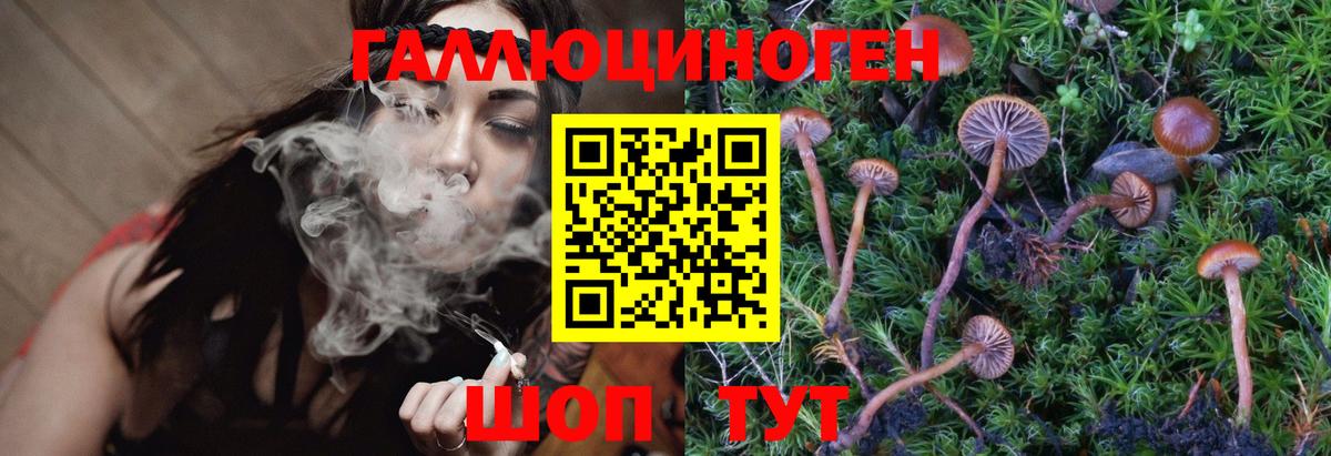даркнет сайт  Галлюциногенные грибы MAGIC MUSHROOMS  Вход с VPN  Кольчугино 